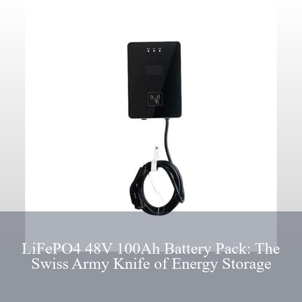 LiFePO4 48V 100Ah Battery Pack: The Swiss Army Knife of Energy Storage
